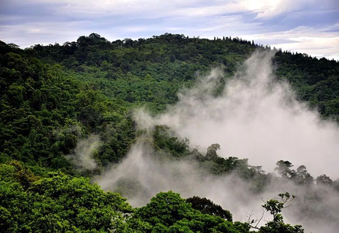 Hanoi Mountain Bike Tour Ba Vi National Park 1 Day